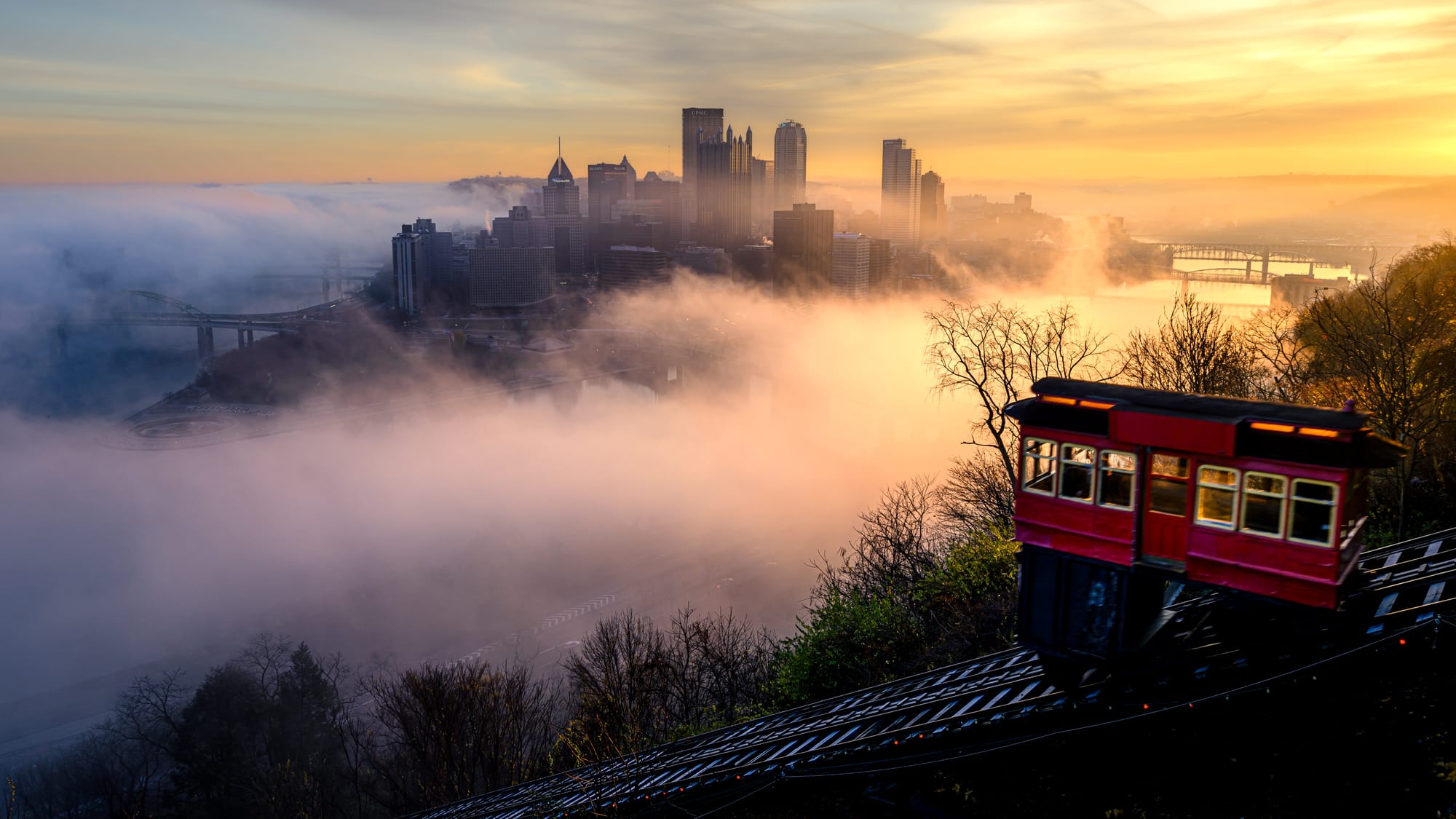 Shawn Thomas Photography