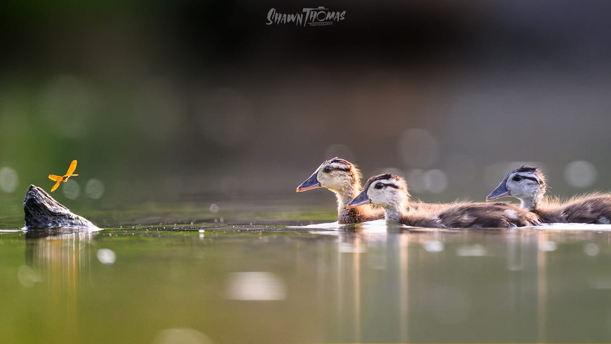 Is Editing still Photography?