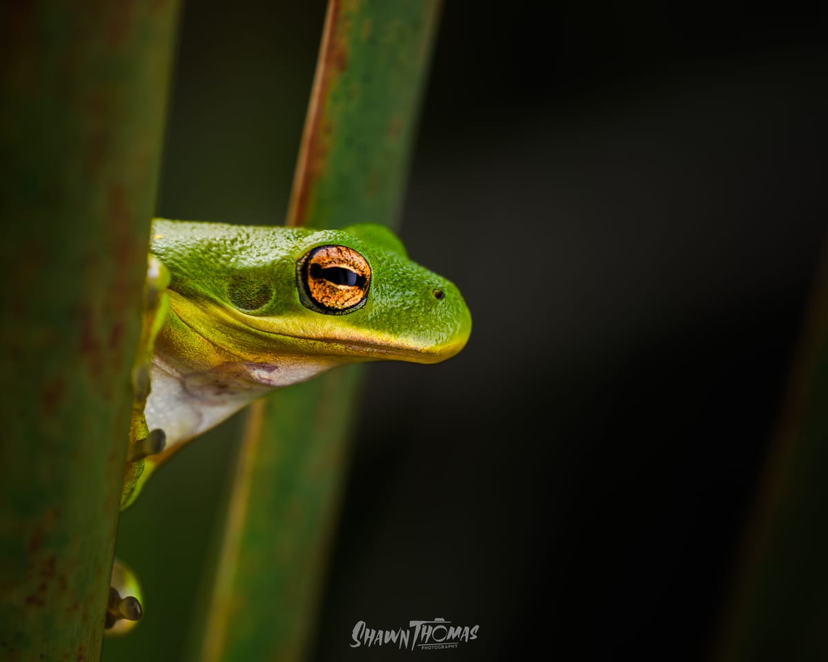 A Macro morning Adventure