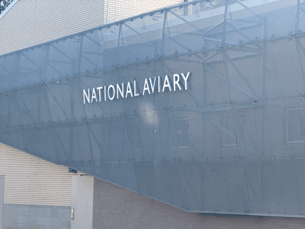 A Trip to the National Aviary