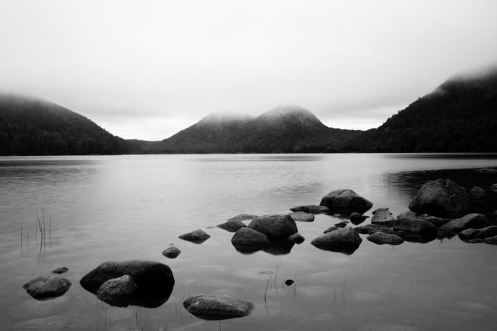 There has never been a better, or worse, time to get into photography